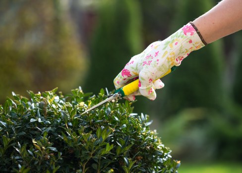 Garden clearance and planting work in South Ruislip