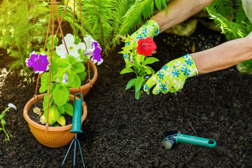 Evening garden lighting and planting in South Ruislip