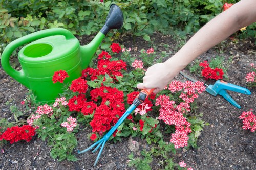 Neatly mown garden lawn in South Ruislip