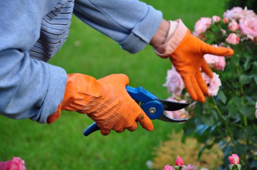 Professional hedge trimming in a South Ruislip garden