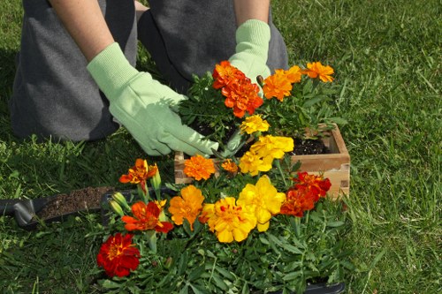 Seasonal lawn care work in South Ruislip for stronger grass growth