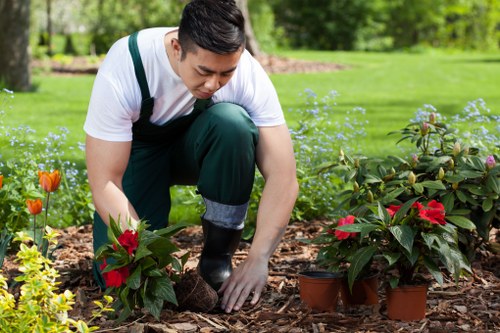 Soft landscaping in South Ruislip with shrubs, flowers, and neat edging