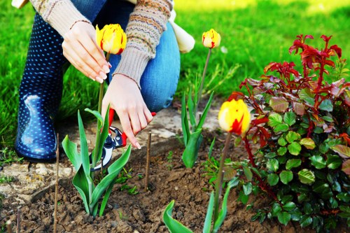 Professional tree care for gardens and properties in South Ruislip