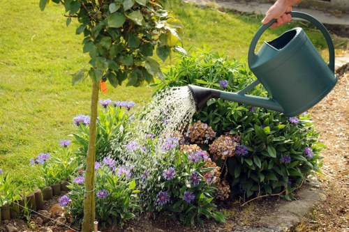 Lawn maintenance and plant care in a South Ruislip garden