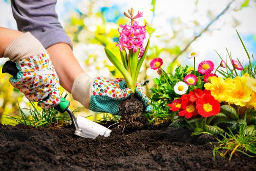 Seasonal garden upkeep with healthy planting and cleared pathways in South Ruislip