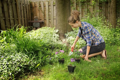 Garden hedge maintenance and trimming in South Ruislip