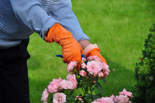 Risk assessment planning for a gardener in South Ruislip