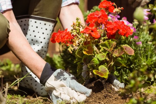 Professional complaints handling for a garden maintenance service