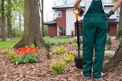 Final resolution stage of a gardening complaint with clear action steps
