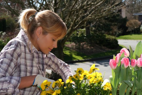Gardeners assessing a larger back garden for cubic-yard waste pricing