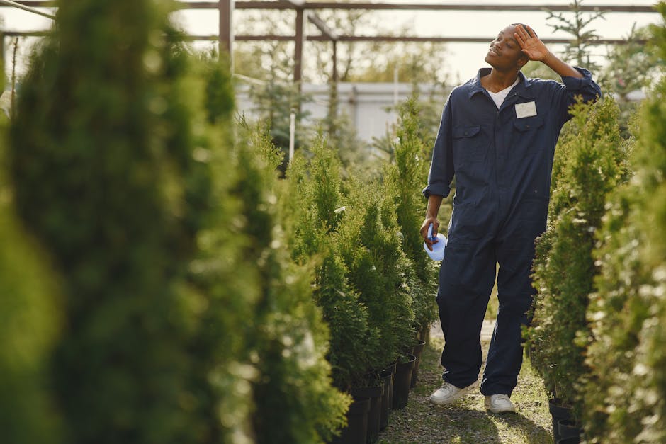 A gardener wearing a dark cap and light-colored sweater is seen tending to potted plants in an outdoor garden display area. The gardener is leaning over a wheelbarrow filled with lush green foliage, p
